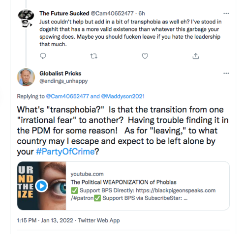 Screen Shot 2022-01-13 at 1.15.16 PM