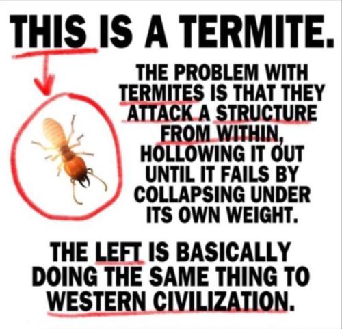 Left termites