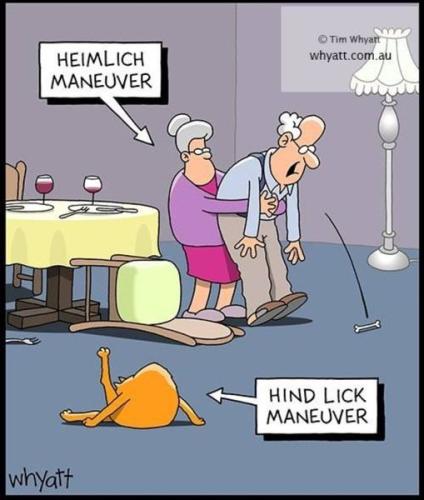 272603614_2132054620284054_8139940705522992672_n