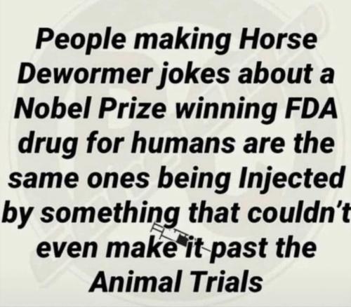 photo_2022-01-09_22-55-15