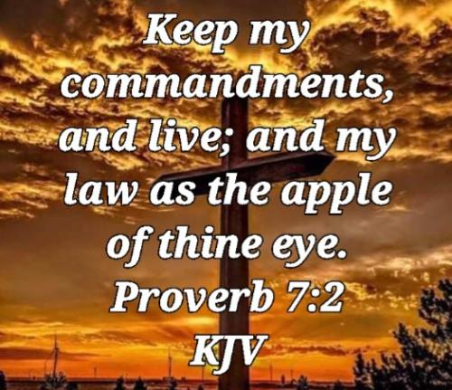 03:40:54 GMT-0800 (PST)