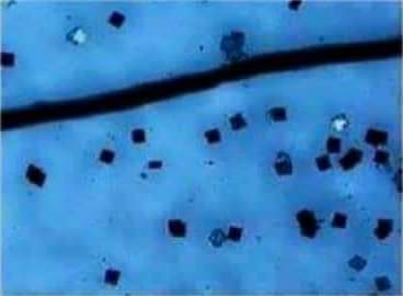 11:21:21 GMT-0600 (CST)