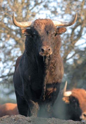 271890842_1744821882383821_2895364659137134442_n