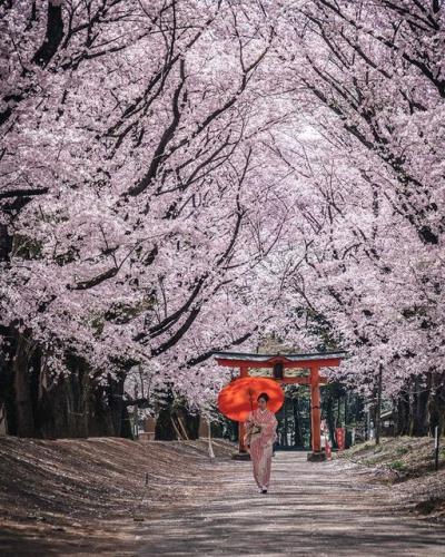 271918728_1318899918627016_2820690842142900733_n