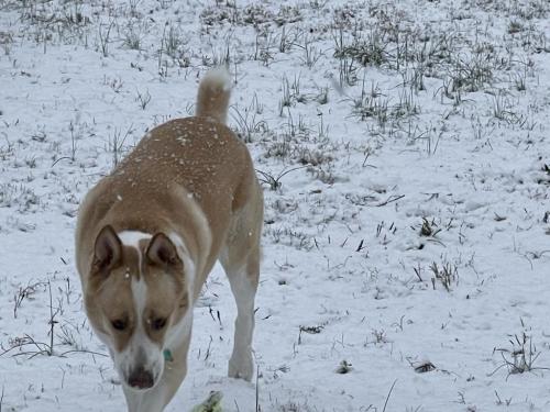 AD30B95B-426A-4EF9-9AF4-7370EA14DCB3