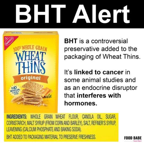 272751089_469552047958152_7257531662778290939_n