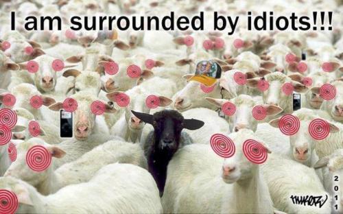 IMG_20220121_144000_467