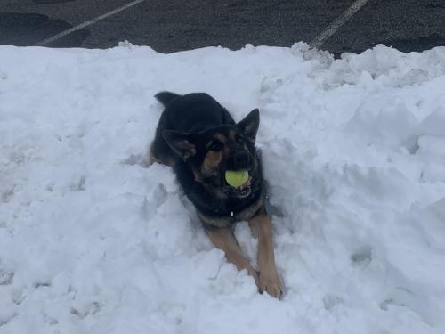 4CFEC0F0-33B0-4C02-B06A-9547554FA7F4