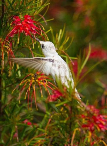 271902146_1744041605795182_7049152613975272129_n