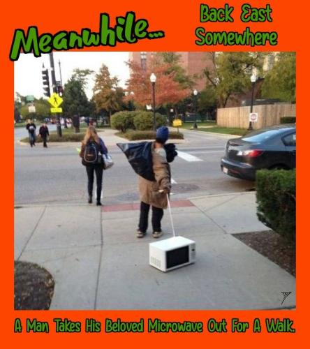 ZomboMeme 28012022090512