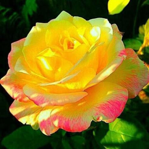 18:07:24 GMT-0600 (CST)