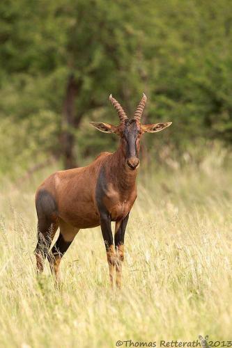 272305592_1748862675313075_5747126219764425741_n