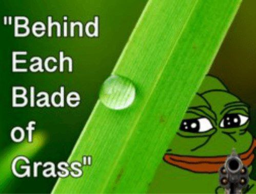 IMG_20220109_071421_226