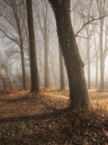 271411499_425895182294465_1676524305373525416_n