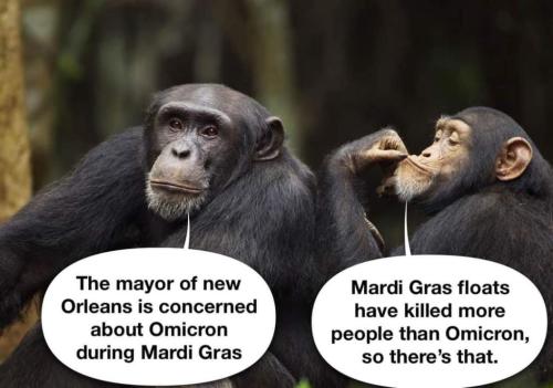 FB_IMG_1641075891053