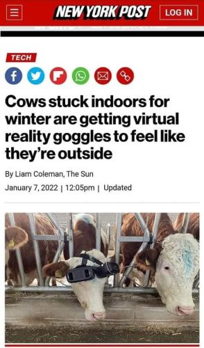 271611007_395825035628212_7571173044200626172_n