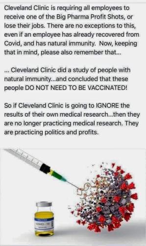 FB_IMG_1641074665948