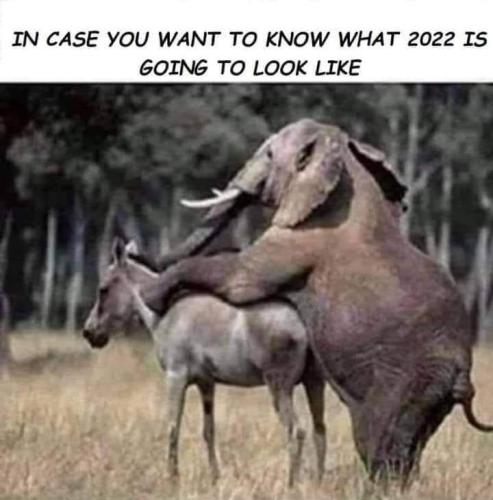 FB_IMG_1643064235732