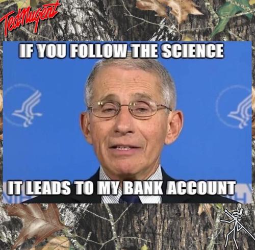 272159144_492335492248067_132854164027915676_n