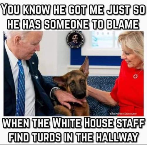 FB_IMG_1642281780146