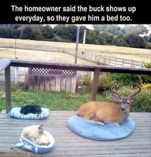 FB_IMG_1643487304704