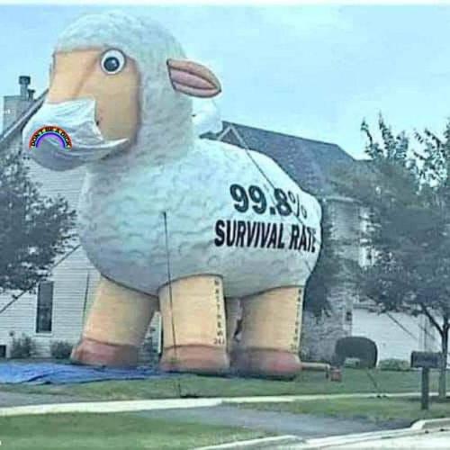 FB_IMG_1641150282258