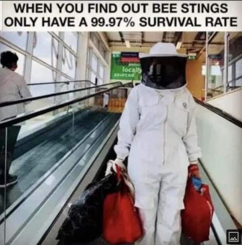 0D468D6D-2289-42C4-B364-05BDAE85975E