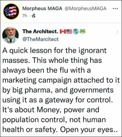 scamdemic42
