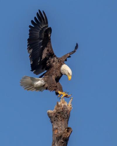 tumblr_9fd7bc58de949777dcb10b8f13dcb25a_fc78c9fb_540