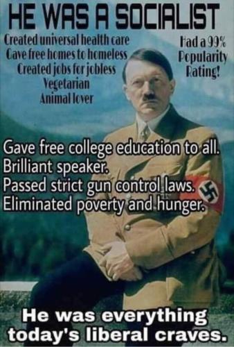 Hitler Socialist Gun Control