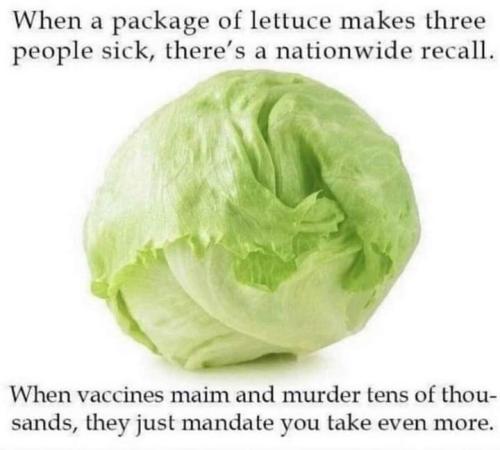 FB_IMG_1642481759635