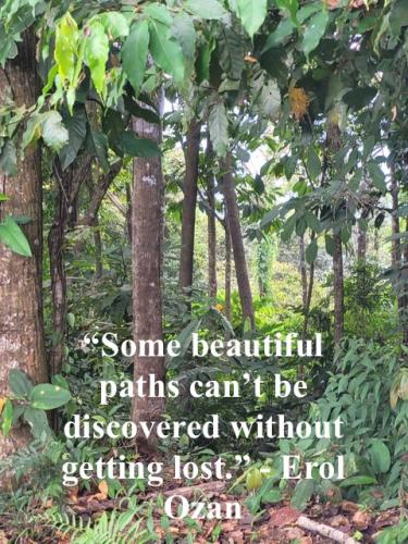 1A-Choose the Right Path