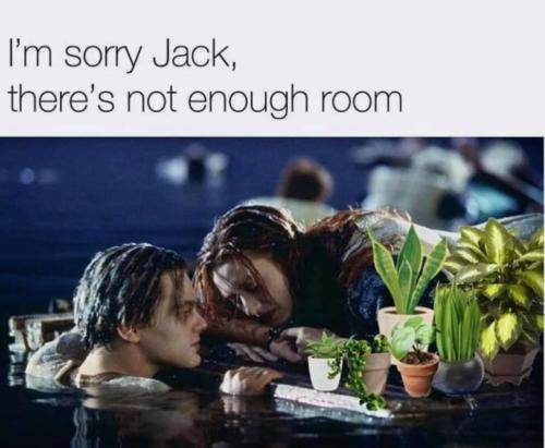 205480579_10159332807210070_7050712358949023416_n