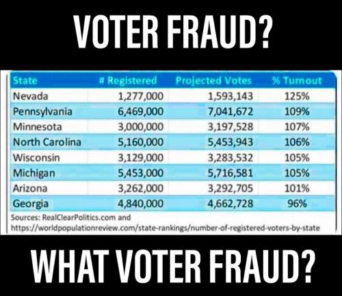 vote fraud c
