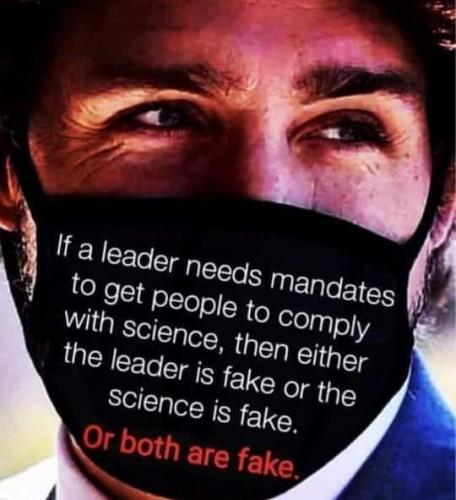 272337991_142292834853170_931439586342327468_n