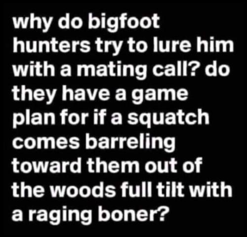 tumblr_e22dacf6faae9a62ba4ec0340af33554_6bd67492_540