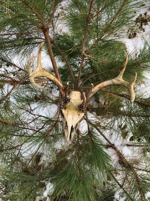 18:24:39 GMT-0600 (CST)