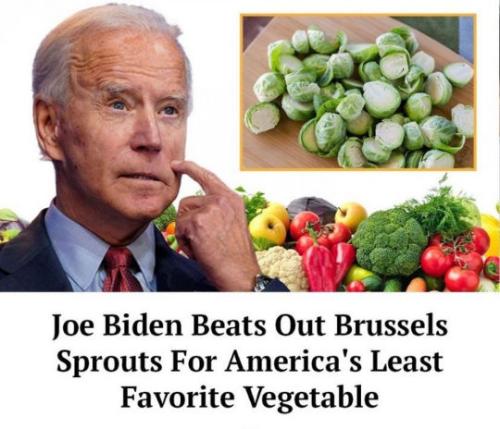 biden832
