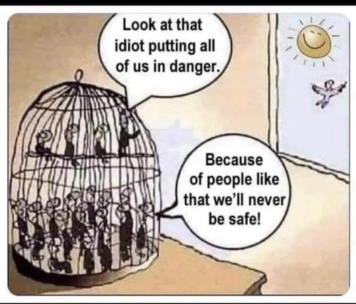 272657846_1049067065660015_1739779596811776224_n