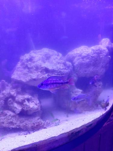 20220104_183911_HDR