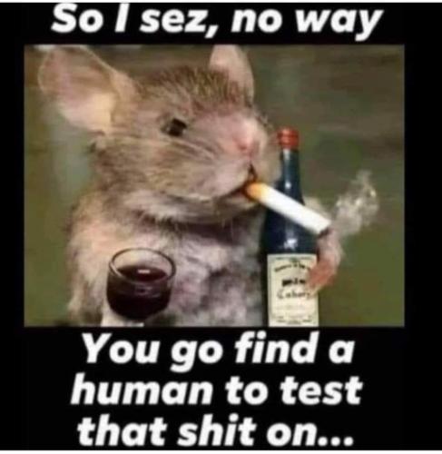 FB_IMG_1642442707934