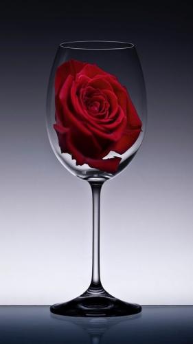 20:42:53 GMT-0600 (CST)