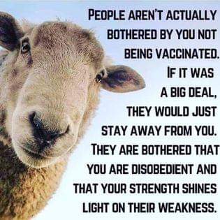 FB_IMG_1642961390965