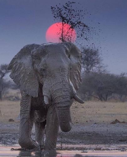 271651542_491701062333572_7020210549967230328_n