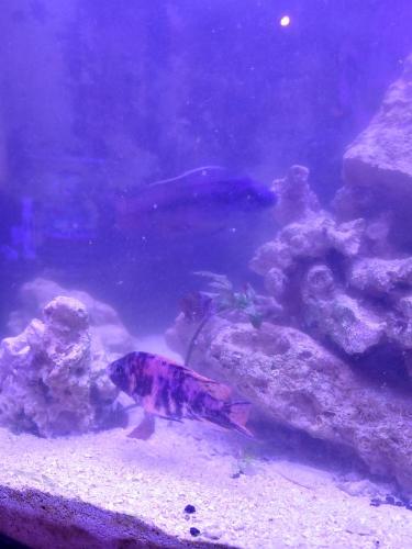 20220104_184114_HDR