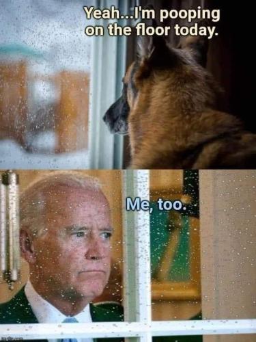 FB_IMG_1642266801468