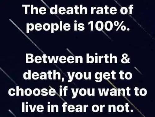 photo_2022-01-07_23-59-46