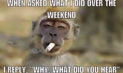 i reply what did you hear