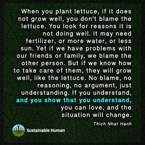 272464872_10158804230862909_6009448865212338006_n