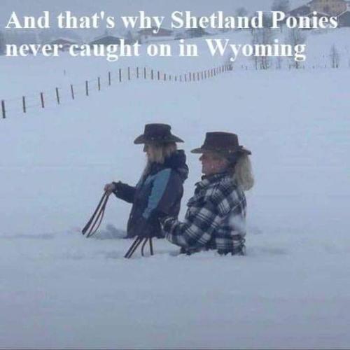 FB_IMG_1641213228422